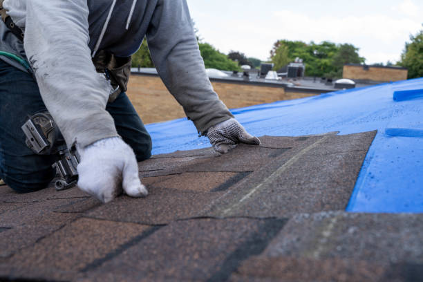 Best Storm Damage Roof Repair  in Lmyra, PA