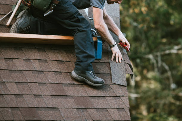 Best Local Roofing Companies  in Lmyra, PA